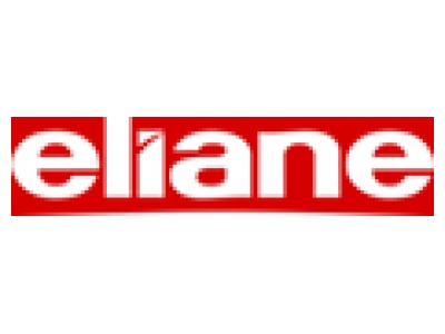 Eliane S/A